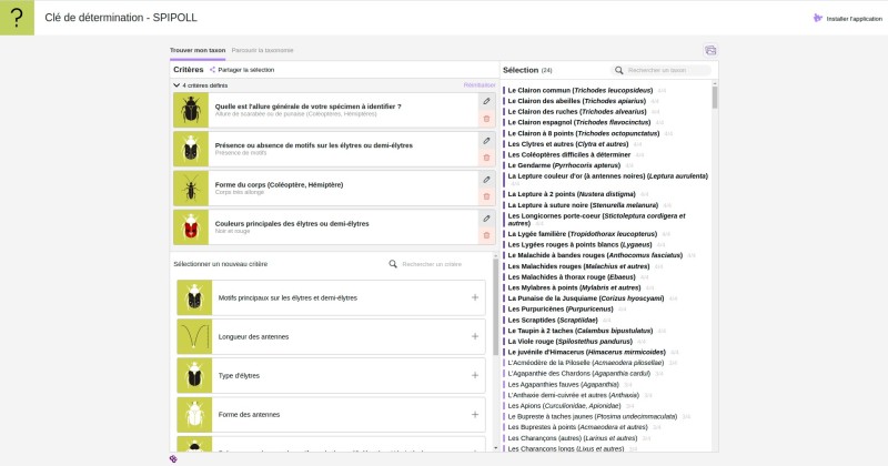 IDKey-PubliWeb.png