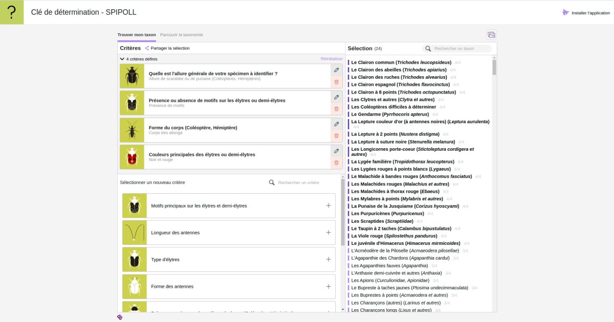 IDKey-PubliWeb.png