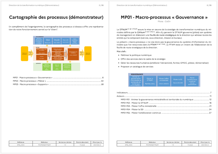 ProcessMI-Manuel des processus -Extrait