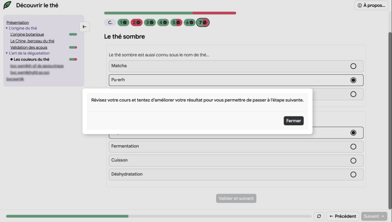 ProgressPasaPas_EtapeNonValidee.png