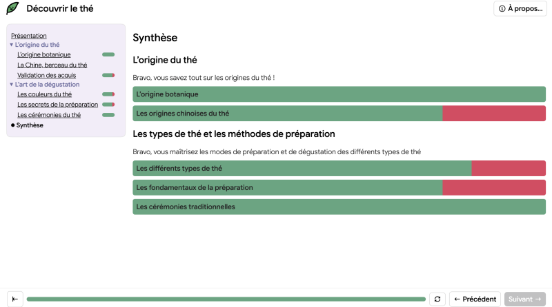 ProgressPasaPas_Synthese.png